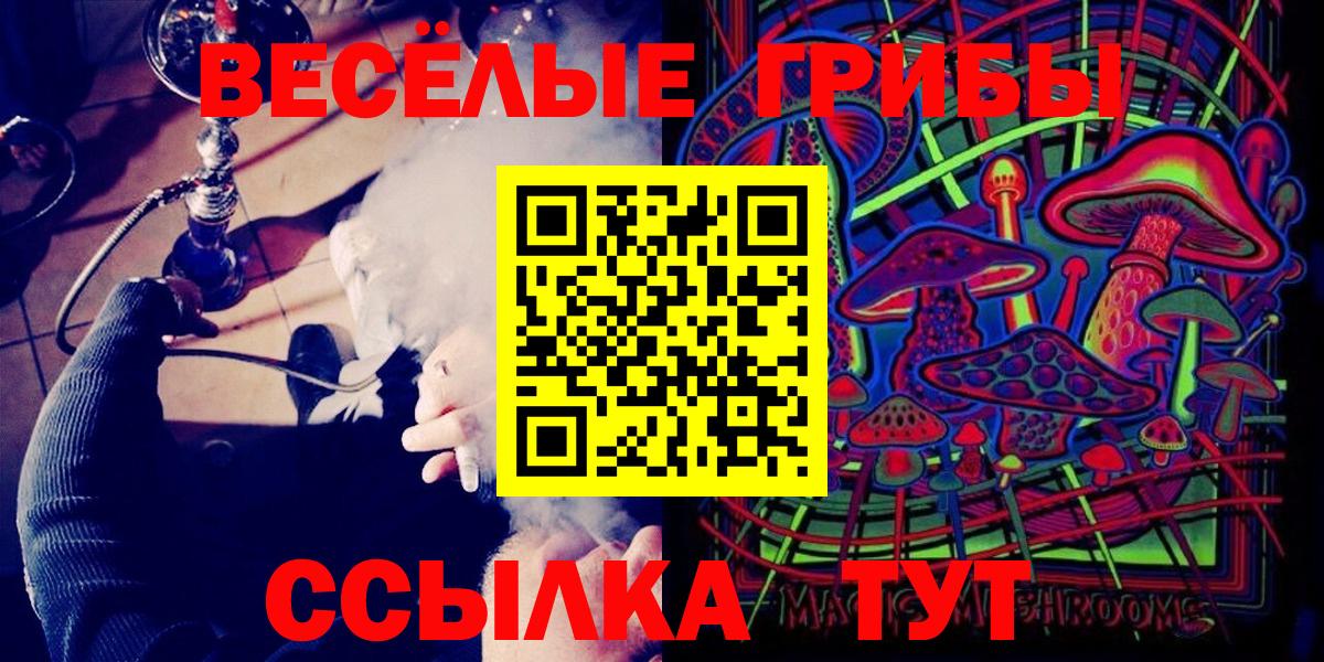 Галлюциногенные грибы прущие грибы  Вход с VPN  Ливны 