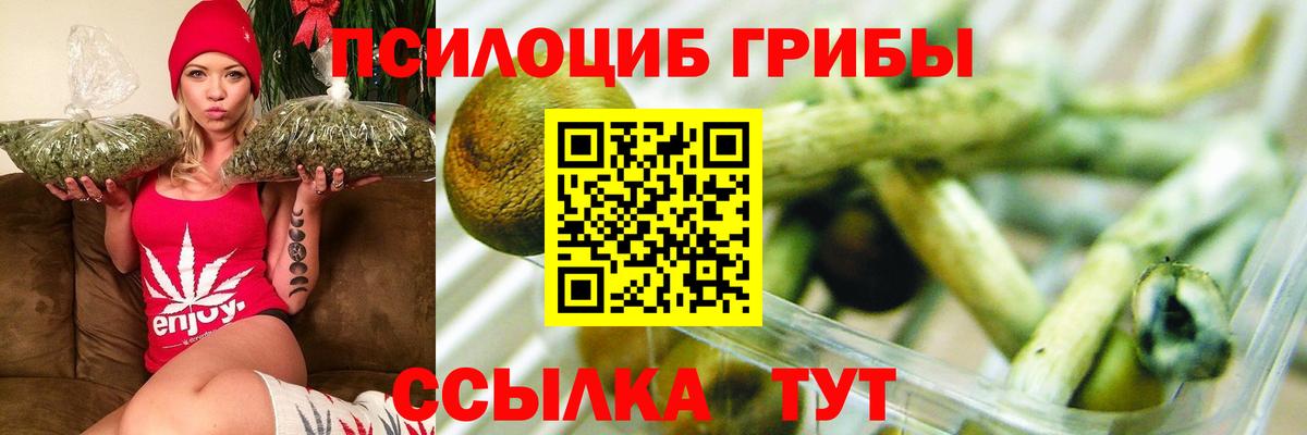 Галлюциногенные грибы мицелий Ливны